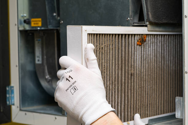 Best Professional Duct Cleaning Services  in Felida, WA